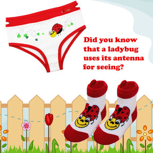 Ladybug & Butterfly Socks-2pk